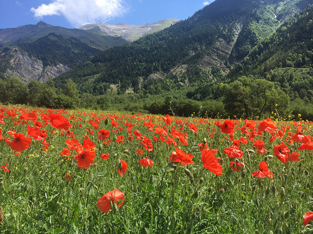 FSGT - Camp alpi 2018 - La Bérarde